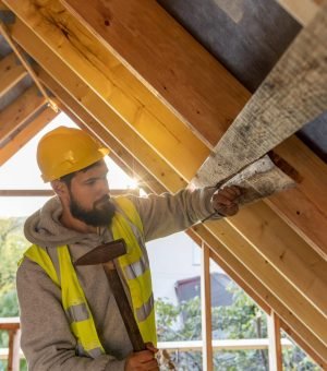 carpenter-man-working-wood